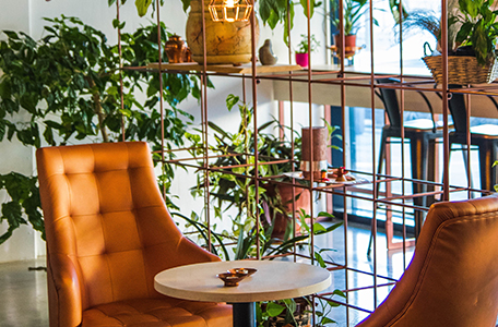Let`s Plant Plants: The New-Age Way