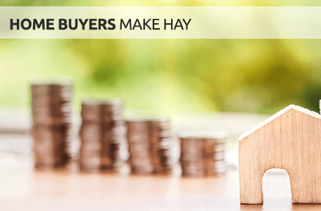 The Indian real estate market has evolved into a ‘buyers paradise’* - Should you enjoy a bite of it?